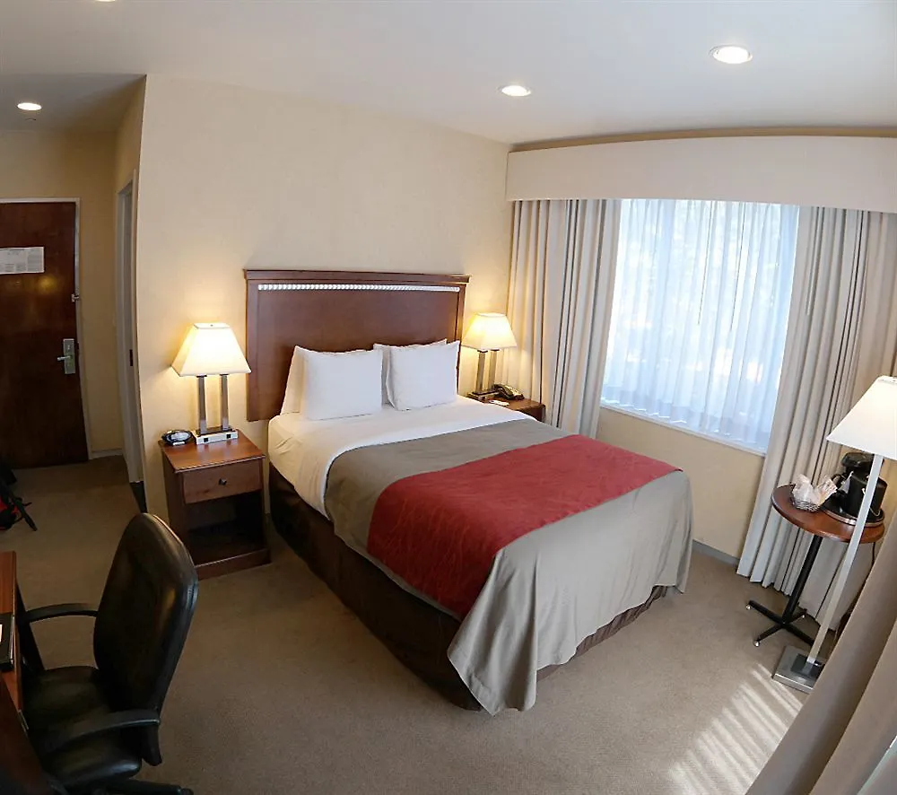 Comfort Inn Manhattan Bridge New York 3*,  United States